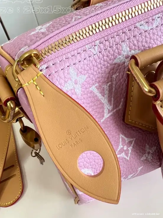 Official oldcobbler Vuitton 25 SPEEDY Louis 0630
